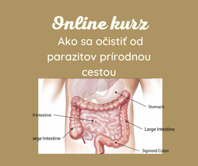 Online kurz Ako sa očistiť od parazitov prírodnou cestou