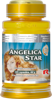 Výživový doplnok ANGELICA STAR s obsahom angeliky čínskej