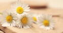 Psyllium